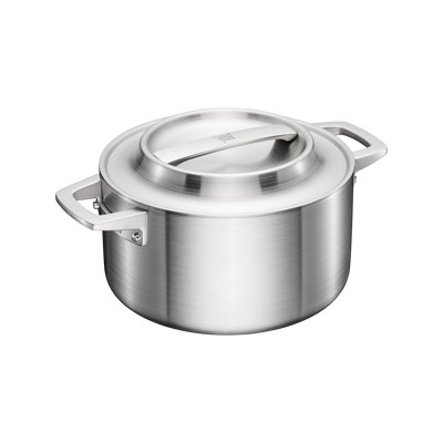 Stainless steel pot with lid on a white background