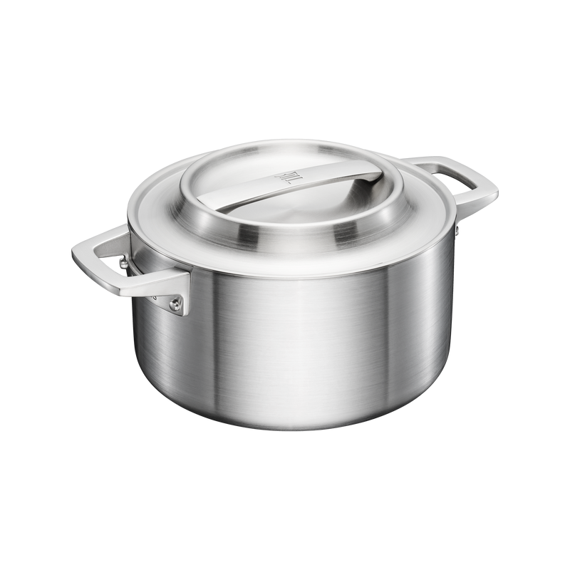 Stainless steel pot with lid on a white background