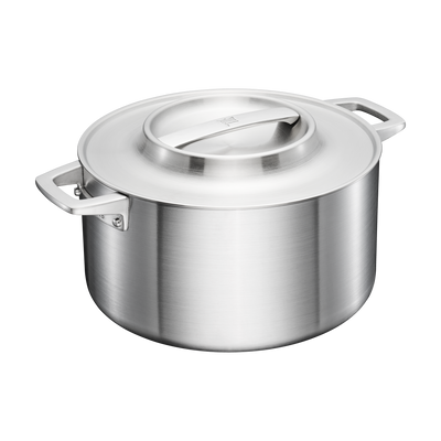 Stainless steel pot with lid on a white background
