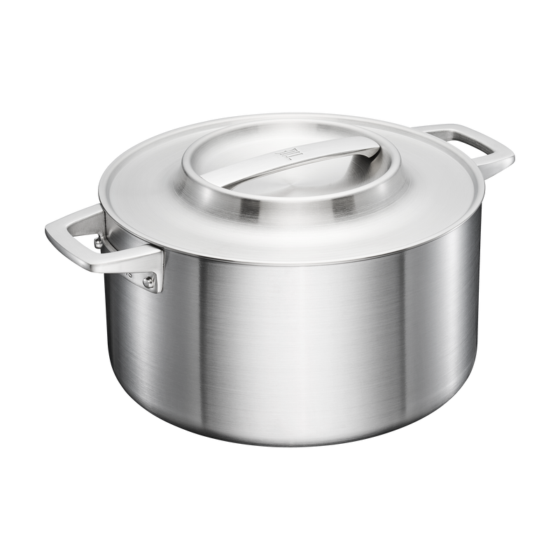 Stainless steel pot with lid on a white background