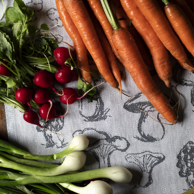 Carrots, radishes, and green onions on a patterned fabric background