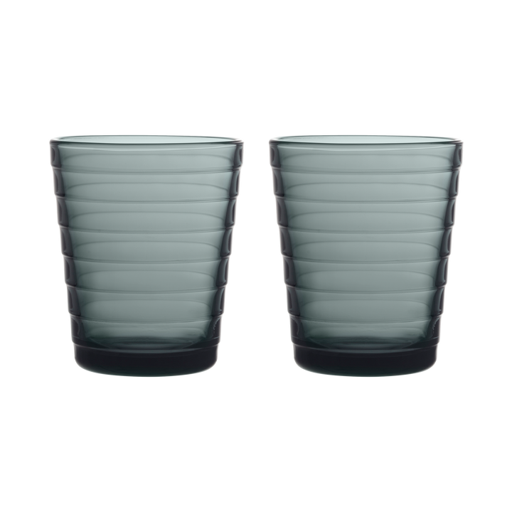 iittala Aino Aalto Dark Grey Medium Tumbler (Set of 2) – Touch of