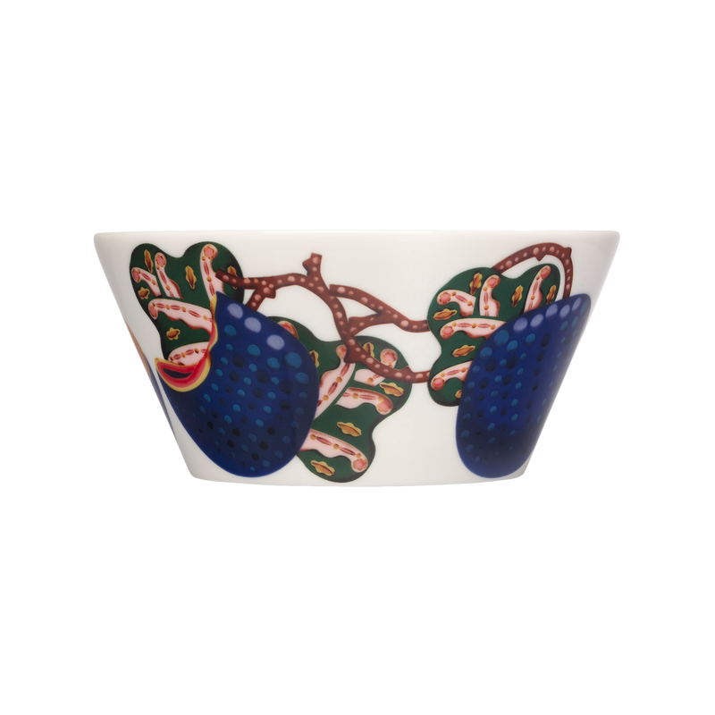 iittala Taika Sato 20 oz Bowl wraparound design