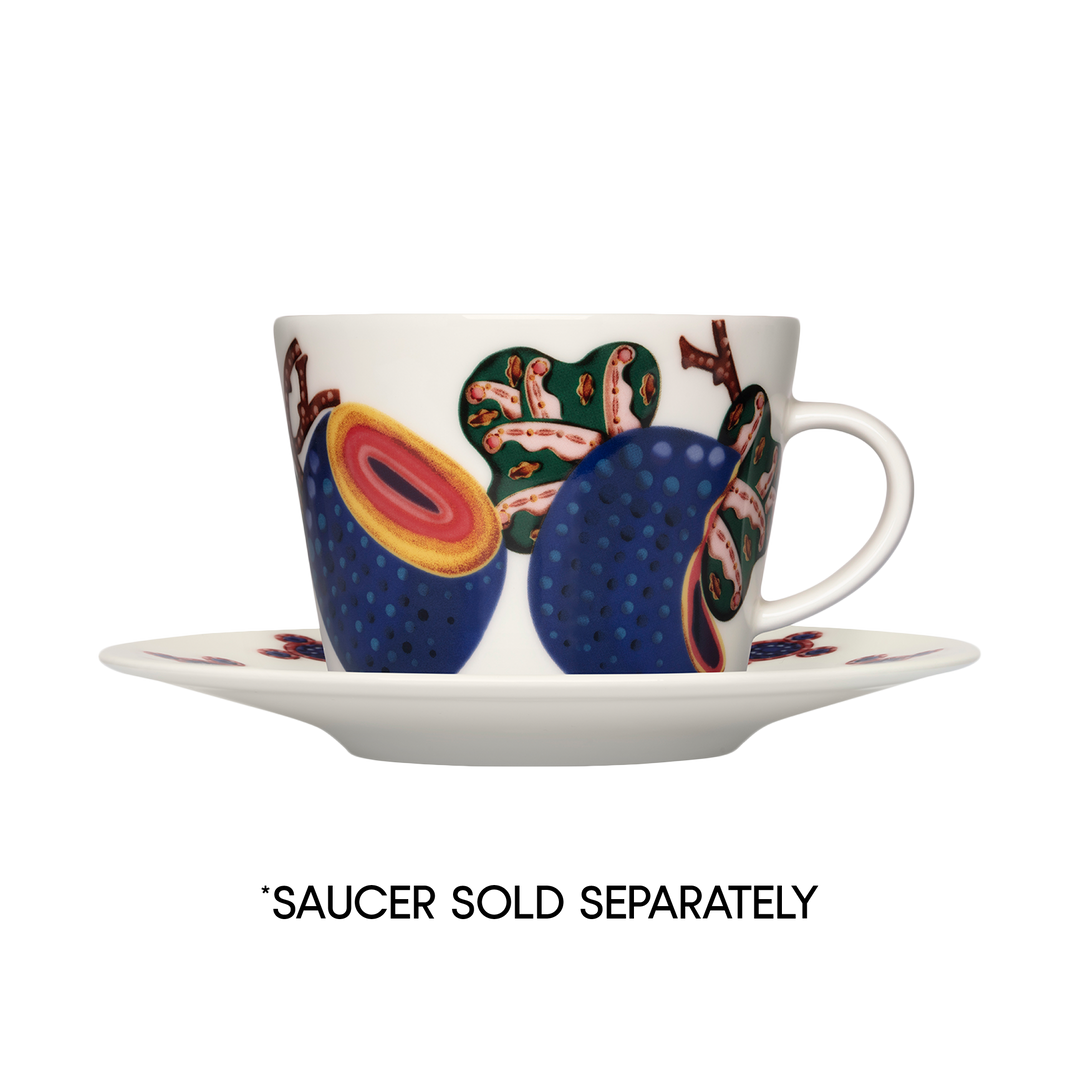 iittala-Taika-Sato-Coffee-Cup-