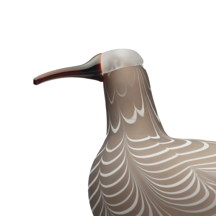 iittala Toikka Sand Curlew – Touch of Finland