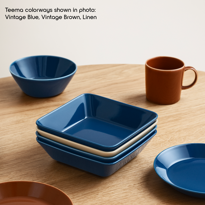 teema colored square dishes