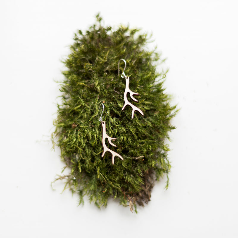 Valona Antler Birch Earrings laying on grassy bush