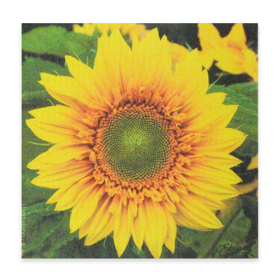 Swedish Dishcloth - Sunflower