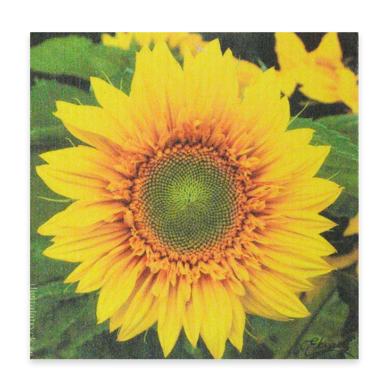 Swedish Dishcloth - Sunflower