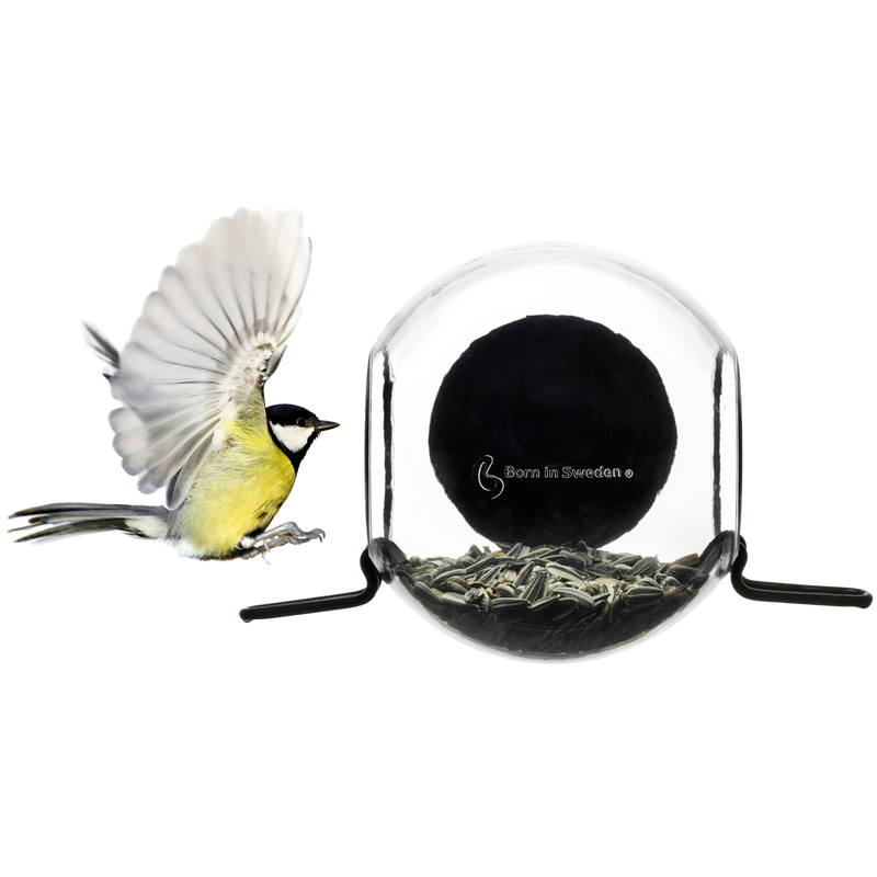 Bird Feeder Born In Sweden