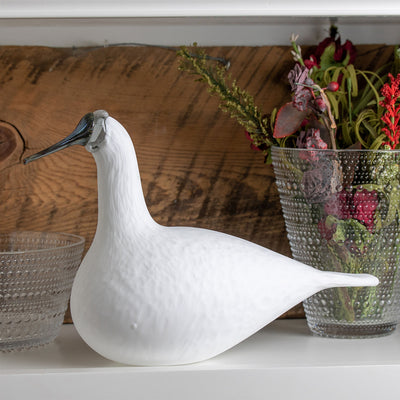 iittala Toikka White Whooper Swan with Kasthelmi clear vase