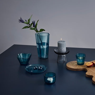 Sea blue plate with blueberries